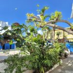 Irie Rest outdoor space